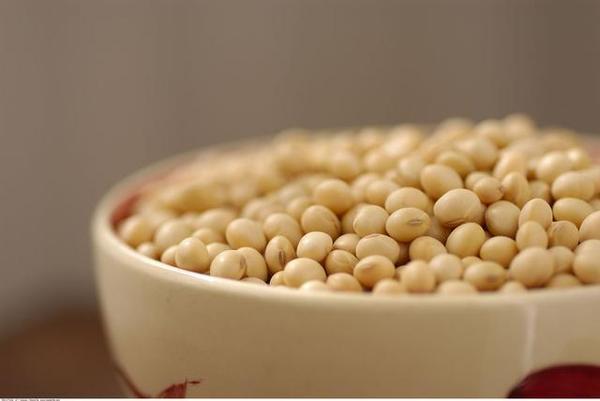 大豆低聚肽的作用功效 2026年大豆低聚肽的作用功效是什么
