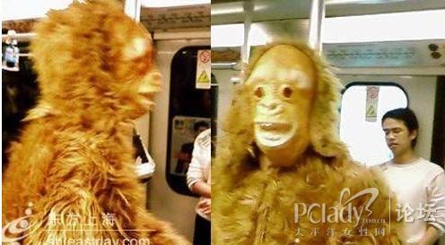 那些年，现身魔都的怪兽