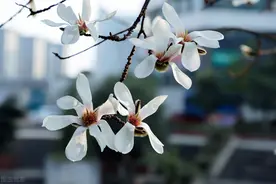 最美的相遇，不言过往，最好的离别，不问归期图片