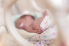 男宝vs女宝：谁更爱“早产”？宝宝出生早晚，与该部位发育有关图片