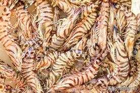 同样是虾，九节虾和基围虾有啥区别？建议弄明白再买图片