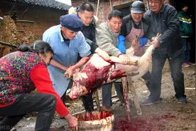 杀猪匠的传说图片