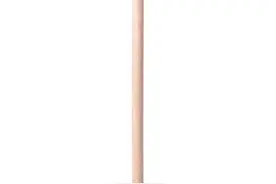 故事：古代志怪故事——蔡十图片