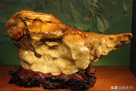 四大品种奇石地方性保护，不能挖也不能捡，捡拾带走罚2万元图片