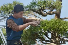 昔日普通村庄，小伙一招变为最美乡村，这样的村民给我来一“打”图片