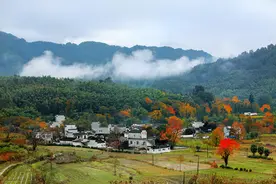 家乡的老房子，是留着好，还是卖掉好，看看专家怎么说？图片