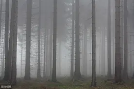 小说：母亲独自将我抚养长大，邻居无意间的话让我恨她几十年图片