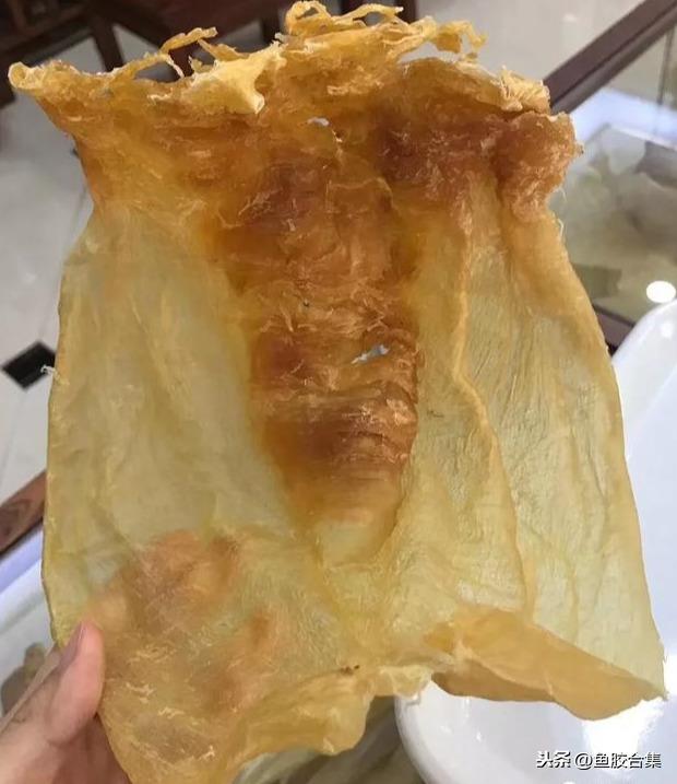 长长的是什么花胶 2026年细长的花胶