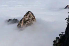 打拳要不断精深，“练出窍劲”，一起来看看图片