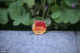 高校毕业生团组织关系咋转接？图片