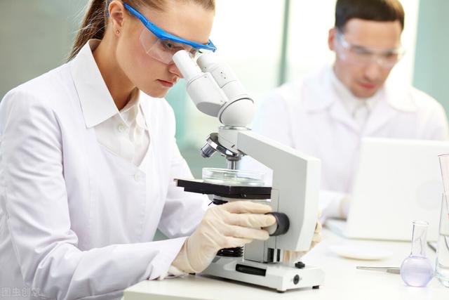 海参的营养价值和功效百度 2026年海参的营养价值和功效药用功效