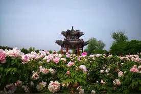 神奇聊城｜经济排后房价领先，菏泽与水城对标中，幸福指数暴涨图片