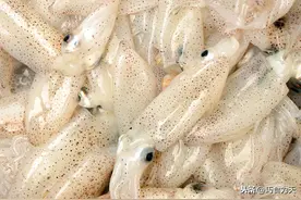 入秋多吃它，海兔子的家常做法，鲜香入味原来是加了这种酱图片