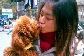 狗狗喜欢舔人，但是舔这6个地方，其实是有话跟你说图片