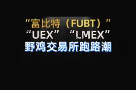 曝光：富比特（FUBT）、“UEX”、“LMEX”，交易所纷纷跑路图片