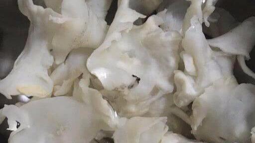 吃花胶一个月皮肤很好 2026年吃花胶一个月皮肤很好正常吗