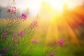 老年人学手机（046）解绑银行卡图片