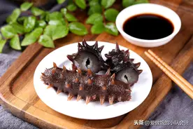 海参怎么发？告诉你海边人的方法，发出来又大又弹口感好，很实用图片