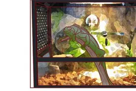 动物竟然把人当宠物一样囚禁和喂养，一部黑暗讽刺漫画图片