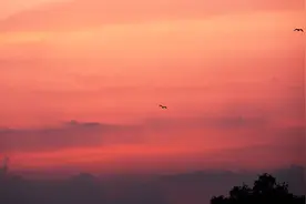 小韩读诗——一点浩然气，千里快哉风图片