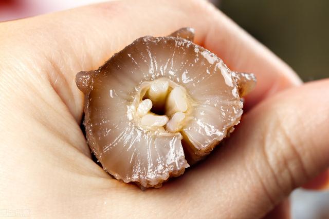 海参的功能和功效 海参的功能和功效与作用