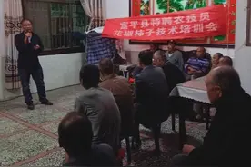 花椒树9月中下旬技术管理要点解析：抓好3个环节是重点图片