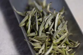 说说茶叶的最佳适饮期图片
