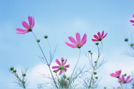 经常聊天的人，忽然不联系你了，多半是这三个原因图片