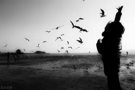 故事：妹妹在上学途中失踪，为了引出凶手，我男扮女装五年图片