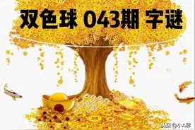 双色球2020 043期 数字谜图片