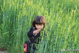 农村2000年后出生的小孩只有户口，没有土地，他们以后怎么养老图片