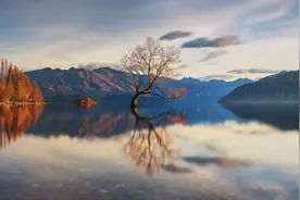 江苏、山东、广东新高考，日语提前半年，家长如何应对？图片