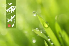 「视频」鹤壁五位小演员参演革命历史剧《啊 摇篮》图片