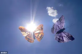 为爱而生，至死不渝图片