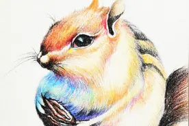 如何使用彩铅完成一幅漫画动物的表现？夸张是漫画常用的造型手法图片