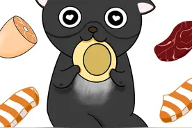 宠乐问答：狗狗可以吃生肉吗？图片
