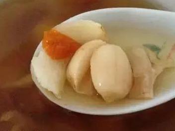 花胶汤好还是花胶肉好 2026年花胶汤好还是花胶肉好呢