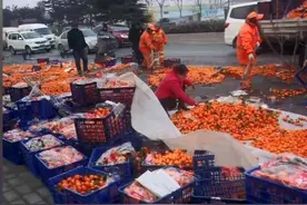 西安北三环一辆货车内橘子滚落一地，附近保洁员赶来后不但帮忙捡拾，而且还在附近村子叫来了“买主”……图片