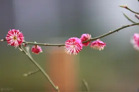三生有幸遇见你，纵隔千里也是情图片