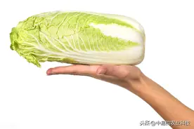 秋季白菜易高发霜霉病！了解发病原因才能正确防治图片