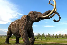 冻土下1500万头猛犸象长眠，象牙成摇钱树，象肉成“美食”图片