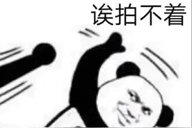 微信偷偷更新，拍一拍终于有救了图片