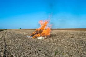全面禁烧令来袭，东北地区被环境部点名，农民今年更难了图片