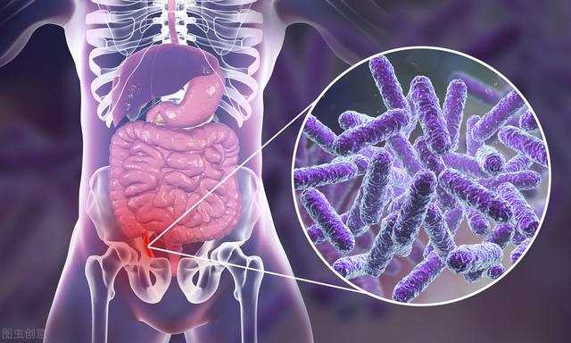 不起眼的阑尾竟有大用处,千万不要一割了之,原来道理是这样