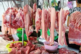 病死的猪肉怎样辨认？老屠夫：教你一招，一眼就能看出区别图片