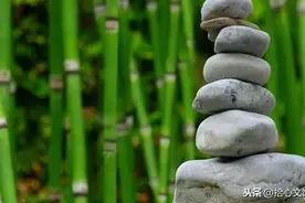 啥叫知足？（精辟）图片