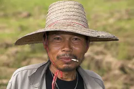 农村俗语：宁嫁老头不嫁小猴，是什么经验之谈？有没科学依据？图片