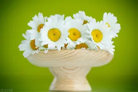 感谢您这三年来对孩 子的无私奉献图片