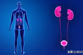 体外冲击波“碎石”和输尿管软镜“取石”，谁更“胜”一筹？图片