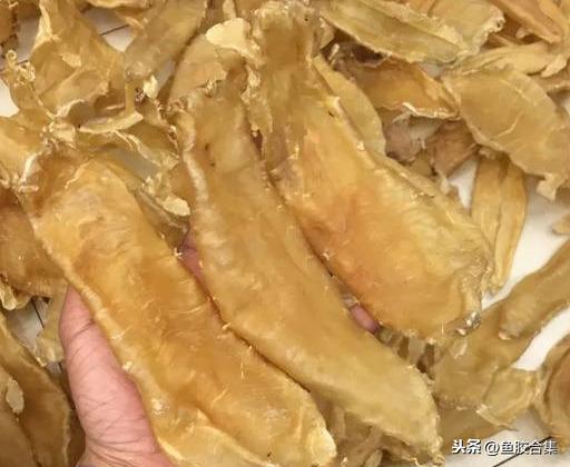 长长的是什么花胶 2026年细长的花胶